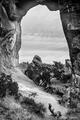 A Window's View