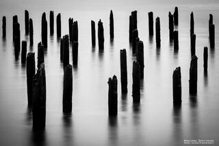 River Ghosts