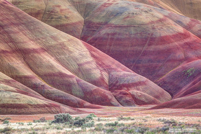 Crimson Hues print