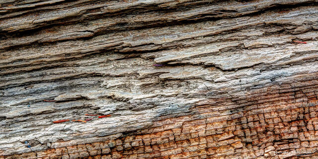 Rock o' Wood print