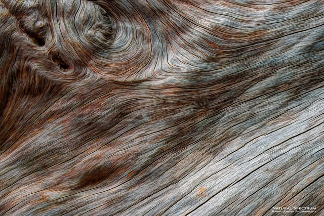 Topographique print