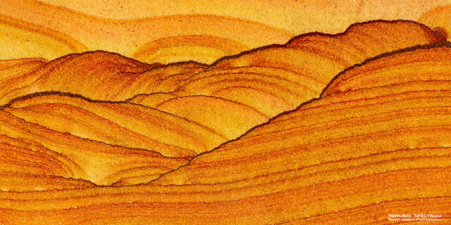 Another Land print