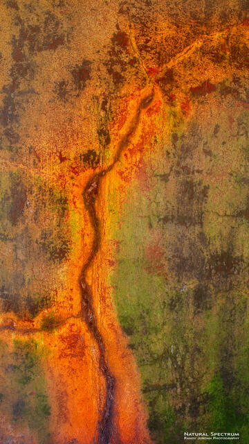 Lava Lane print