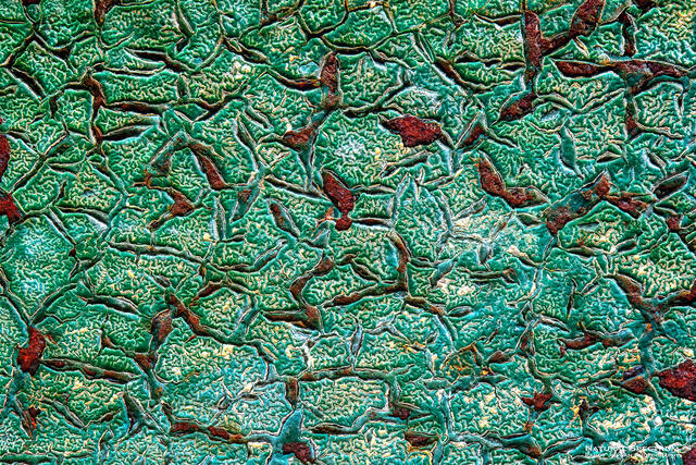Flight print