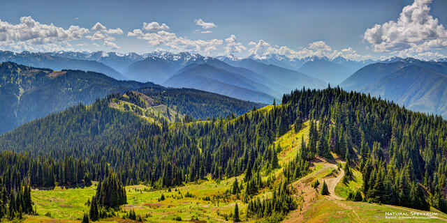 Pathway to Mt Olympus print