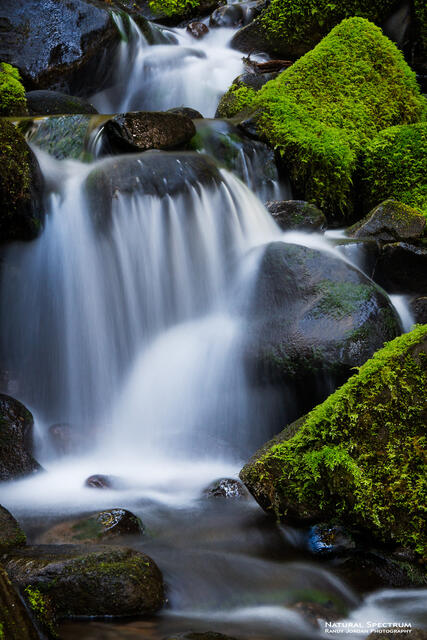Sol Duc Cascade III print