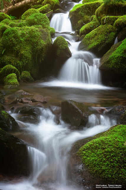 Sol Duc Cascade II print