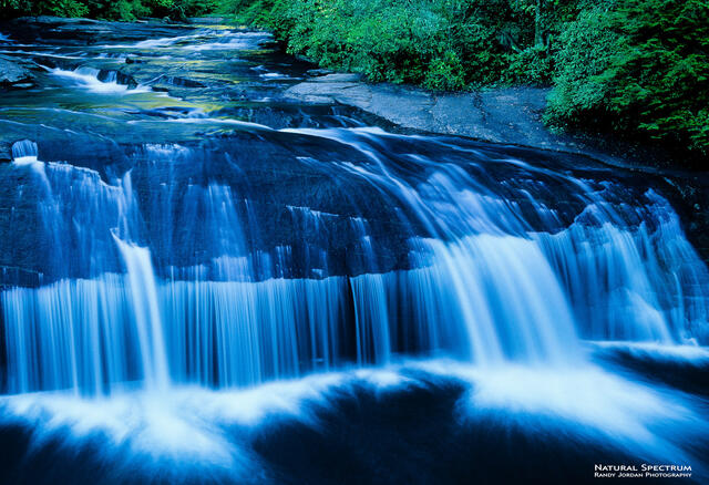 Dark Waters print
