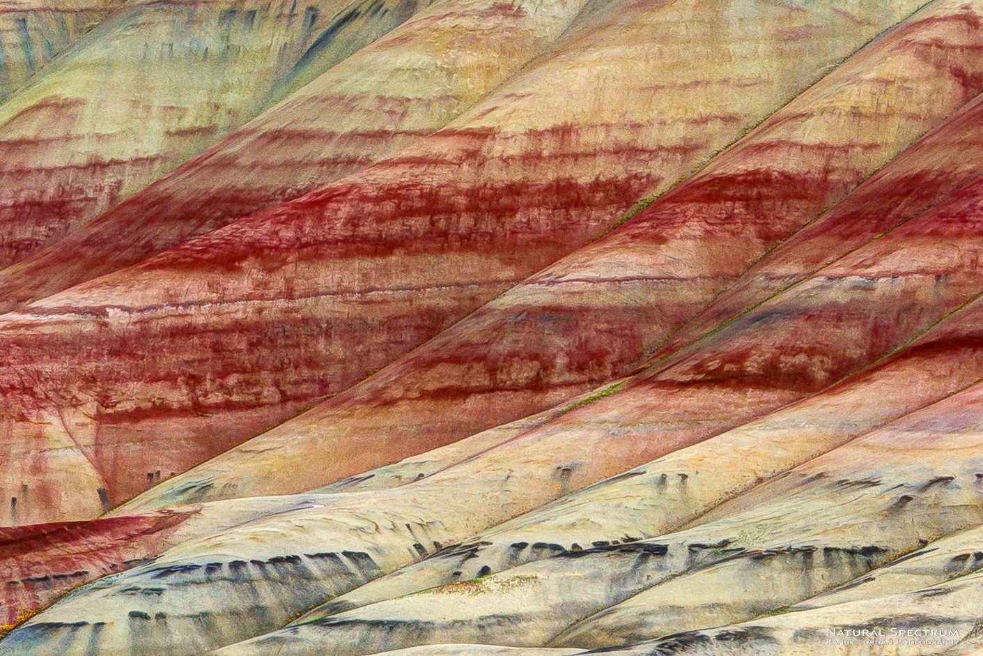 Intimate view of the Painted Hills, John Day Fossil Beds, Oregon.