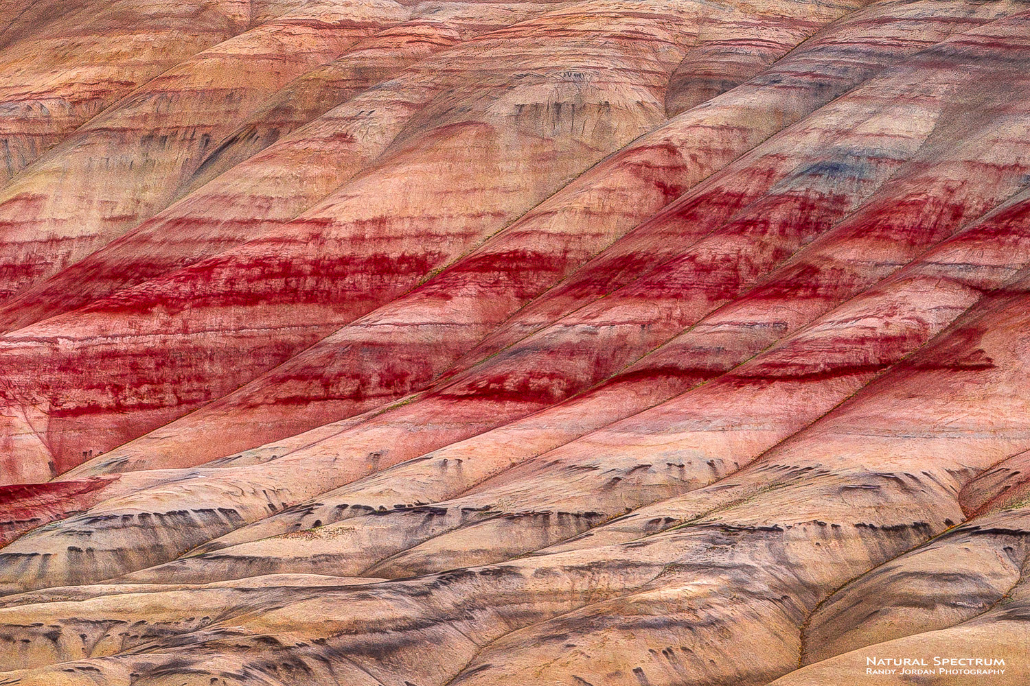Eons of weathering have exposed layers of iron oxides and other minerals to create what we call the Painted Hills, John Day Fossil...