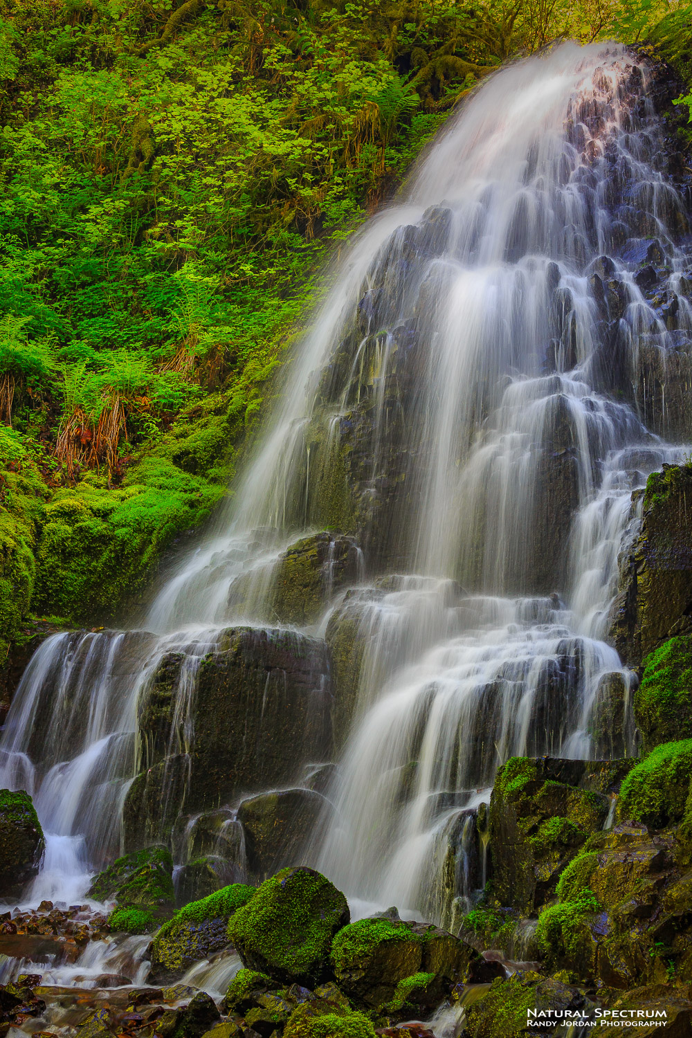 A rewarding hike leads one to Fairy Falls in the Columbia River Gorge National Scenic Area, Oregon.