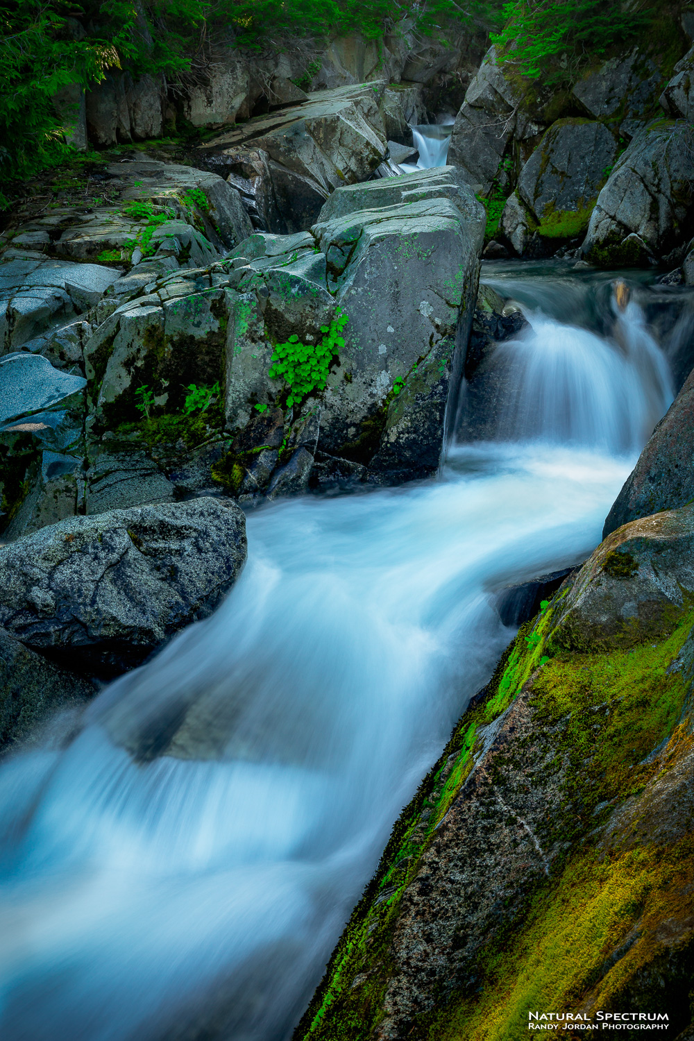 Below Ruby Falls, near Paradise, Mt. Rainier National Park, Washington.