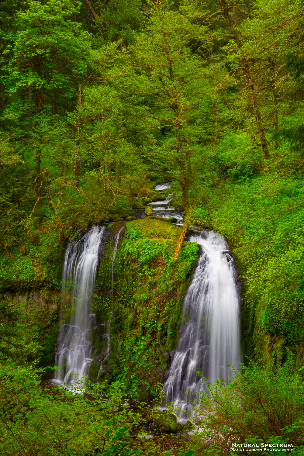 A pleasant hike and worth the effort to reach Upper McCord Creek Falls, in the Columbia River Gorge National Scenic Area, Oregon...