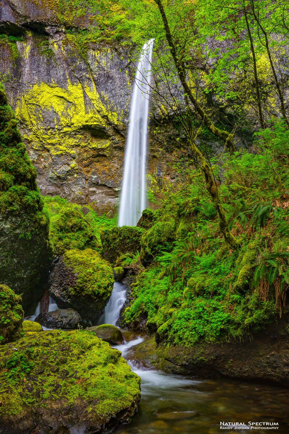 A more intimate view of Elowah Falls in the Columbia River Gorge National Scenic Area, Oregon.
