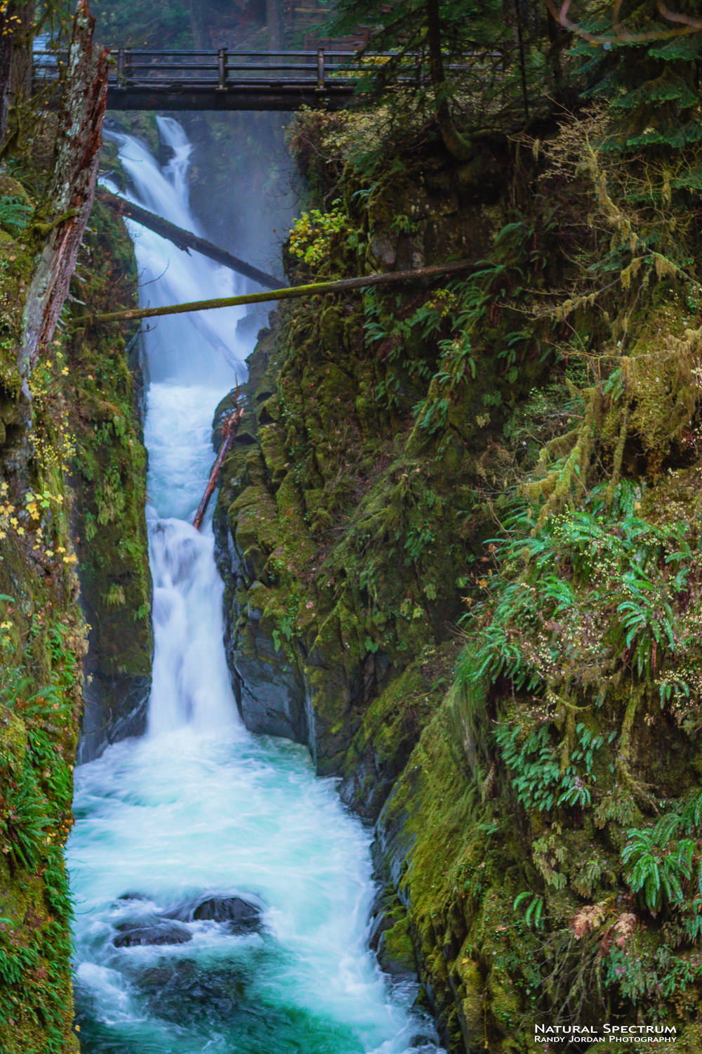 Just below Sol Duc Falls as the water cascades through the narrows at the head of the Sol Duc River in the Olympic National Park...