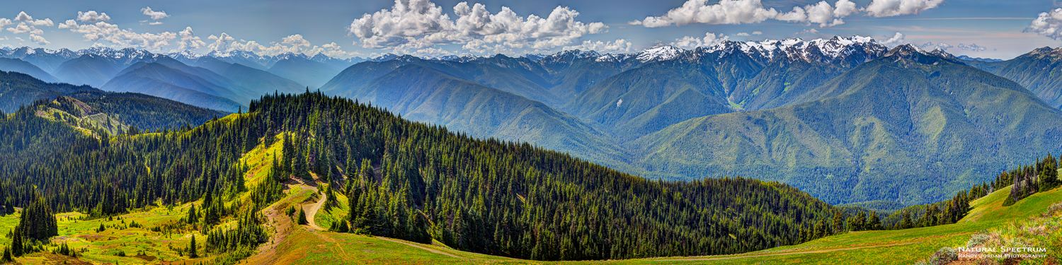 This magnificant view of the untouched Olympic Mountains was captured as a true panoramic from Hurricane Ridge, Olympic National...