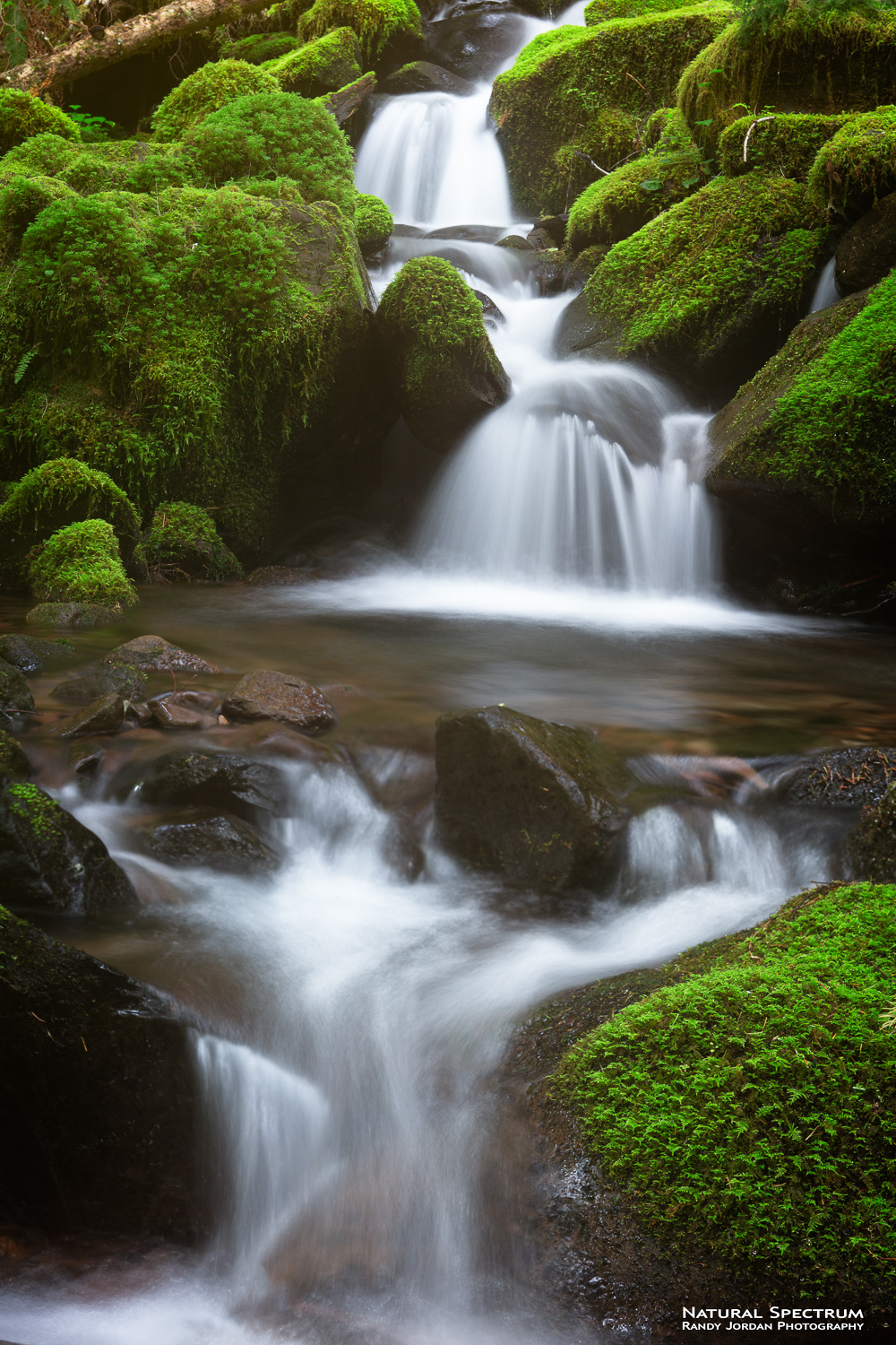 Cascading waters along a small tributary stream for the Sol Duc River, Olympic National Park, Washington.