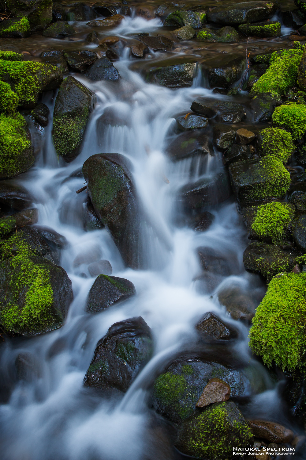 Cascading waters along a small tributary stream for the Sol Duc River, Olympic National Park, Washington.