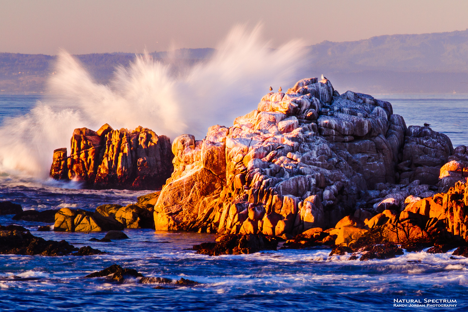 A bit of patience, late afternoon sun and a cooperative wave, Spanish Bay, Monterey, California.